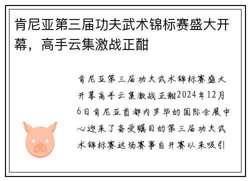 肯尼亚第三届功夫武术锦标赛盛大开幕，高手云集激战正酣