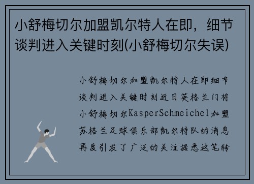 小舒梅切尔加盟凯尔特人在即，细节谈判进入关键时刻(小舒梅切尔失误)